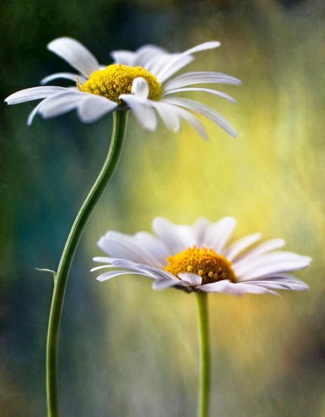 人都是感悟句子