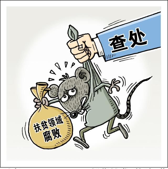 扶贫中央第一巡视组