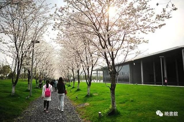 高晓松的诗和远方，大概就是晓书馆的模样