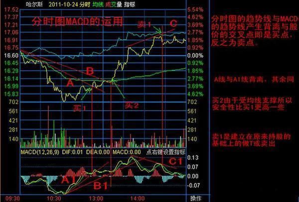 A股最强的选股战法蚂蚁上树，买进就是大牛股，无一例外！