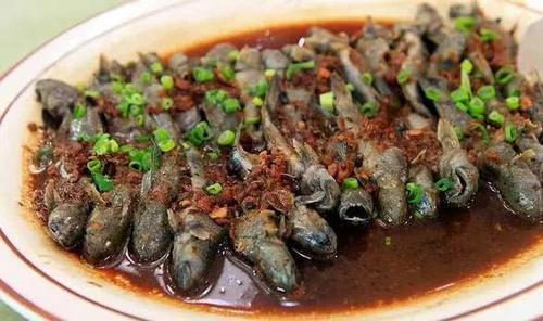 江门的这种鱼，被誉为“鱼类中的天才”！盛夏吃它正当时~丨寻味