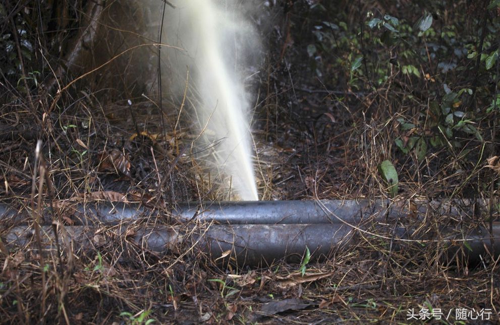 尼日利亚国内石油盗窃行为猖獗