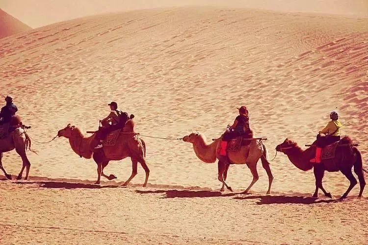 甘肃这个小城，竟没有一只蚊子!曾是七朝古都，却鲜为人知!