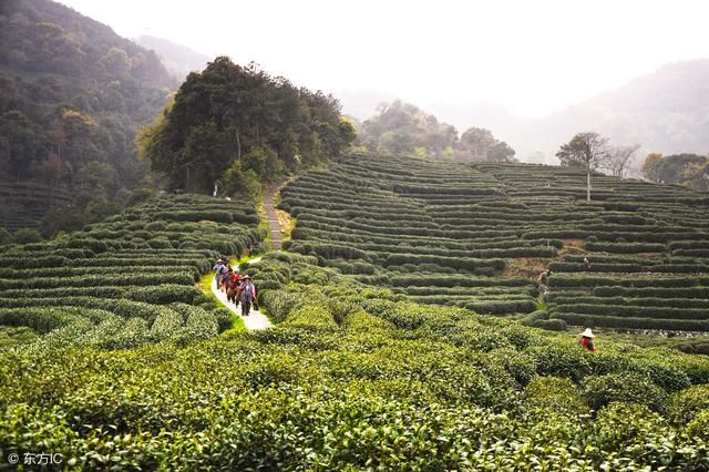 传说中的中国最喜欢喝茶的十大城市，你去过几个？