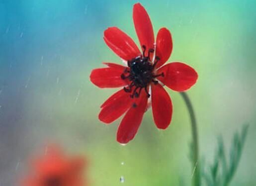 2018年哪些星座有福，会有很多惊喜?