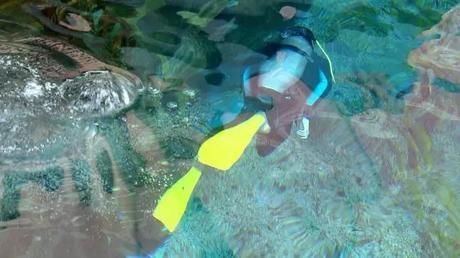 立夏已过，记者小迟给你一份龙江旅游攻略！