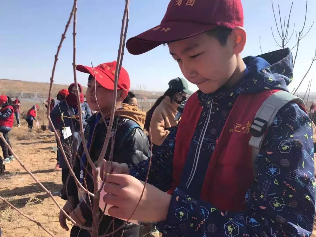 中卫我为祖国种棵树,祖国减少一粒沙大型植树
