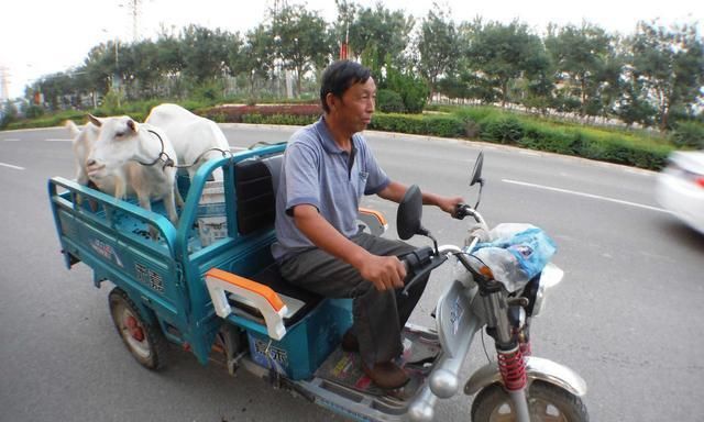 拉货电动三轮车