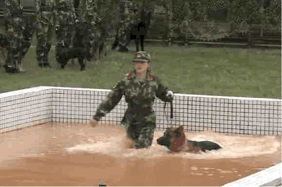 张馨予低调产子,背后理由令人感动