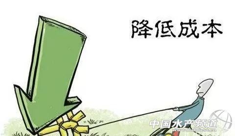 价格战中假如低价胜利了,养殖户将会……