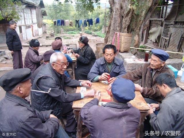 说的太好了！不知道谁编的顺口溜，实在是说农民到心坎上了！