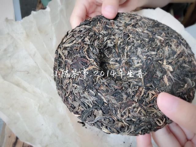 春白茶即将开采,白茶绿茶岩茶红茶普洱茶春茶采摘上市时间一览!