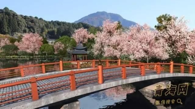 小长假别再出国了!浪了青海，就等于浪了全世界，不信你看!