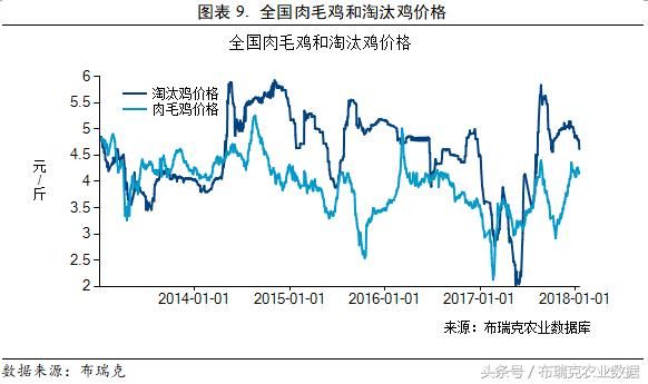 本周国内玉米价格小幅上涨