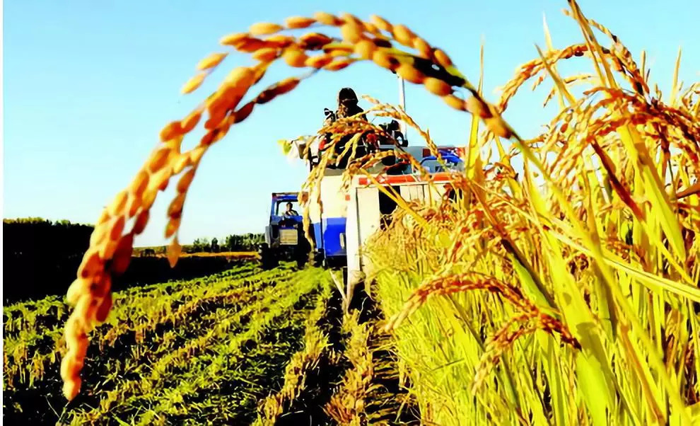 刚刚发布!今天起,山西这些12个地方要 改名 了