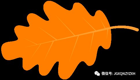 津云APP--志愿天津使用说明