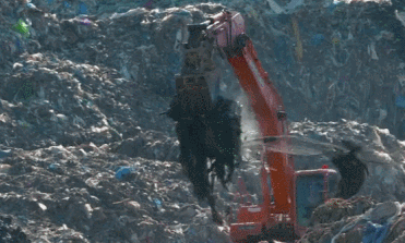 垃圾分类是时下