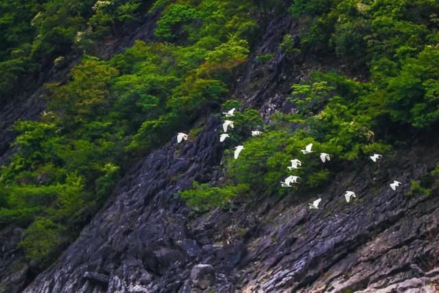 开启全新可能，和一汽马自达CX-4一起探寻春天