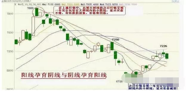 中国股市已经奄奄一息，A股即将大换血，万千散户如何咆哮？