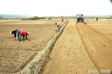 一个农民的自述：农业的未来在哪？村里种植大户为啥都跑路了？