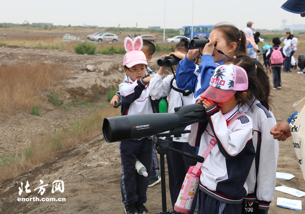 天津举办自然课堂:走进滨海湿地了解鸟类 扫