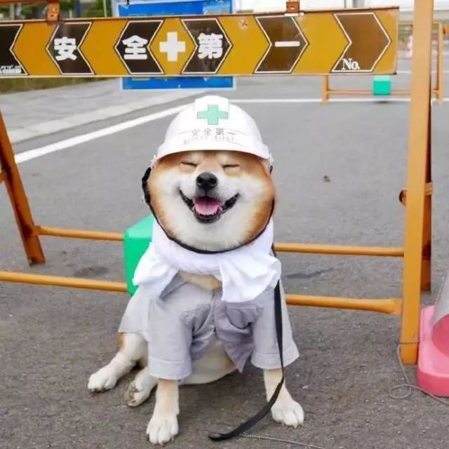 这些隐秘的江南古镇!满足你私奔式的毕业蜜月旅行