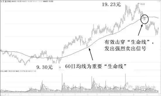 中国股市的三大规律，终于知道散户炒股为什么总是亏钱