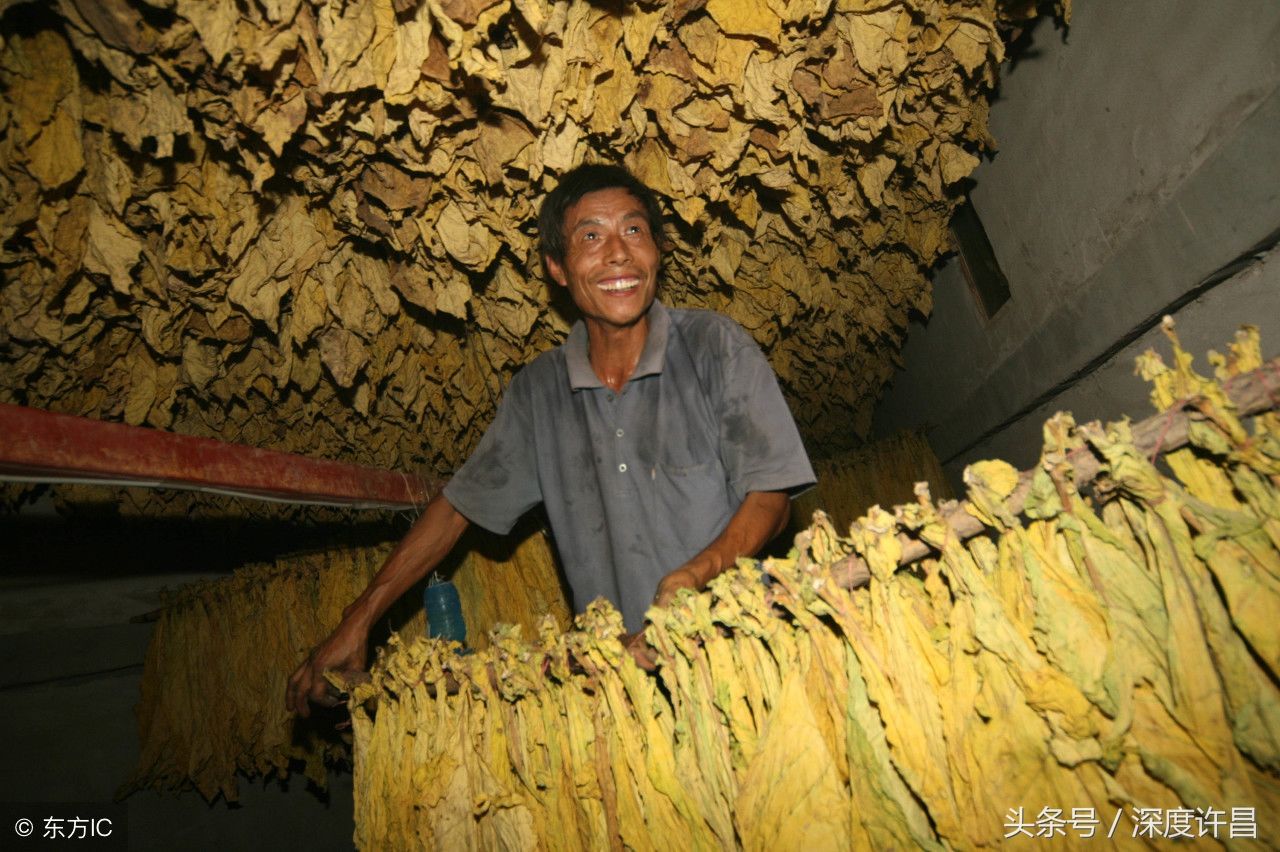 河南襄城县有个近400年的产业，闻名海内外，许昌的骄傲