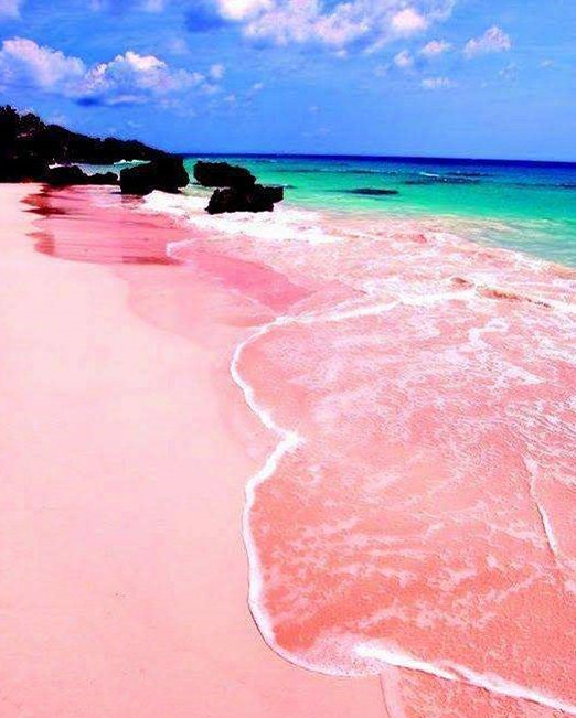 自然风光:粉红色沙滩,浓浓的少女心