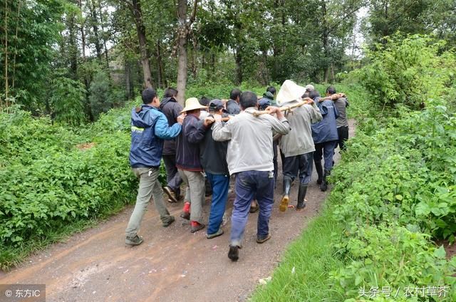 在农村，有一种补贴将近4000元，为什么却没有人愿意领？