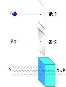 为什么有些原子具有放射性?