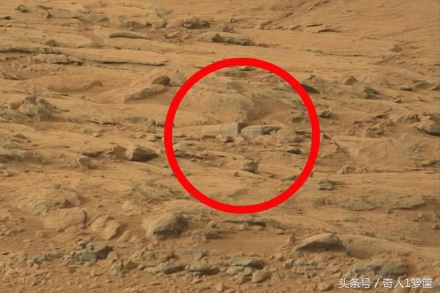 NASA公布了火星探测器传回的照片,引网友舆论