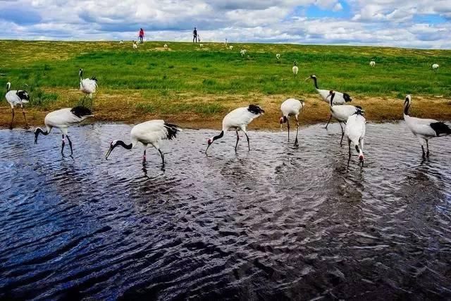 盘点中国最美景点! 总有你想去的!