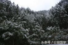 以后可以坐高铁去资源县看雪景了，怀桂高铁确定经过广西资源县