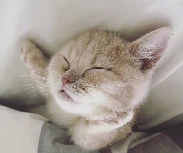 全世界的晚安说说