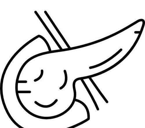 脐带充质干细胞是什么