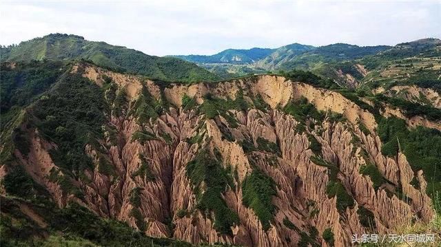 天水有一个地方，山清水秀、满山杏花，却很少有人知道