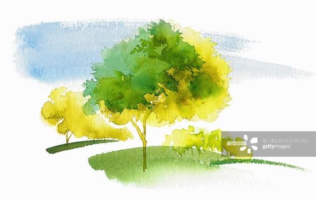 演讲稿:安全护航,青春绽放!