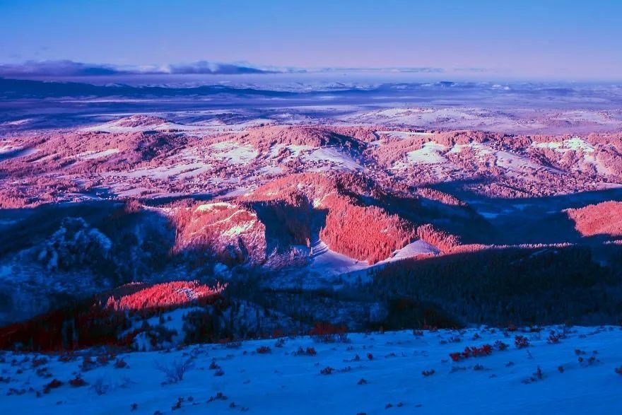 【每日美图】红外摄影里的粉红世界