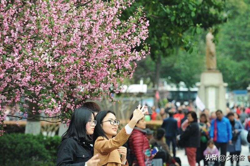 武汉首义文化区迎来春游高峰