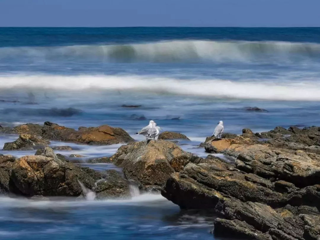 华为 P30 系列发布:最强拍照手机,夜间样张吊打