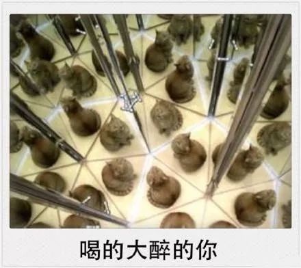 你的剩余假期被雨水承包了!还有一件扎心的事……