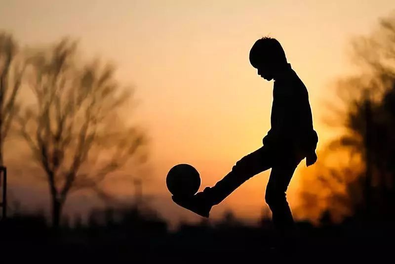 北大教授:中国足球和中国教育为什么都不能产