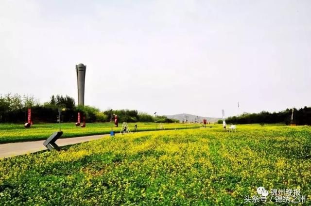 “六一”带娃游玩大锦州，这个省钱又好玩的攻略请收藏