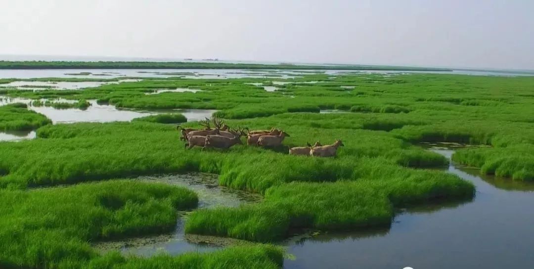 湖南卫视新闻联播 | 下塞湖矮围整治:外湖与湖洲