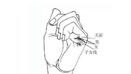 t01bdb847aaa1f3f58c.jpg