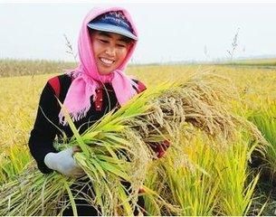 在农村出嫁的妇女土地咋办