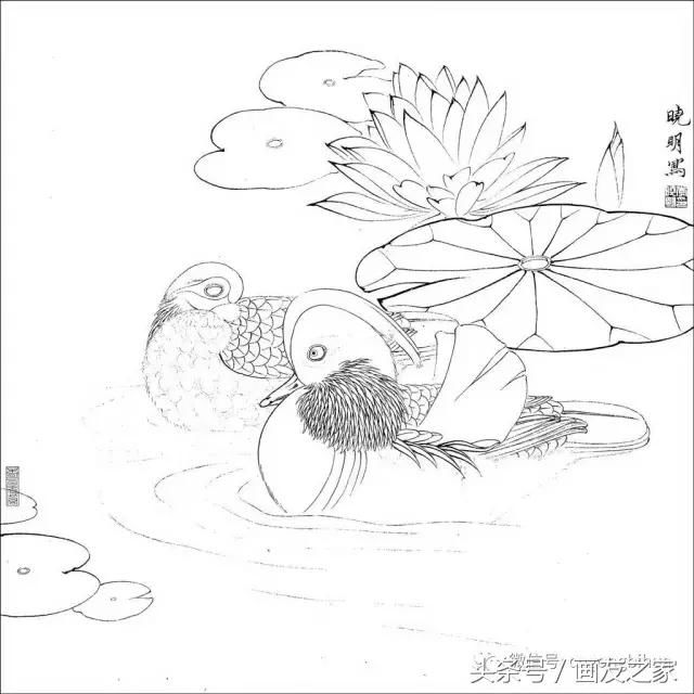 t01be0f6cde029a007f.jpg