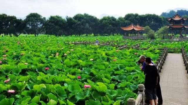 万万没想到，中国第一美女居然在贵州......