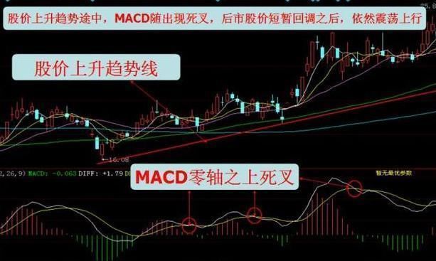 老股民潜心研究!MACD选股诀窍!堪称经典，看懂你就是高手!